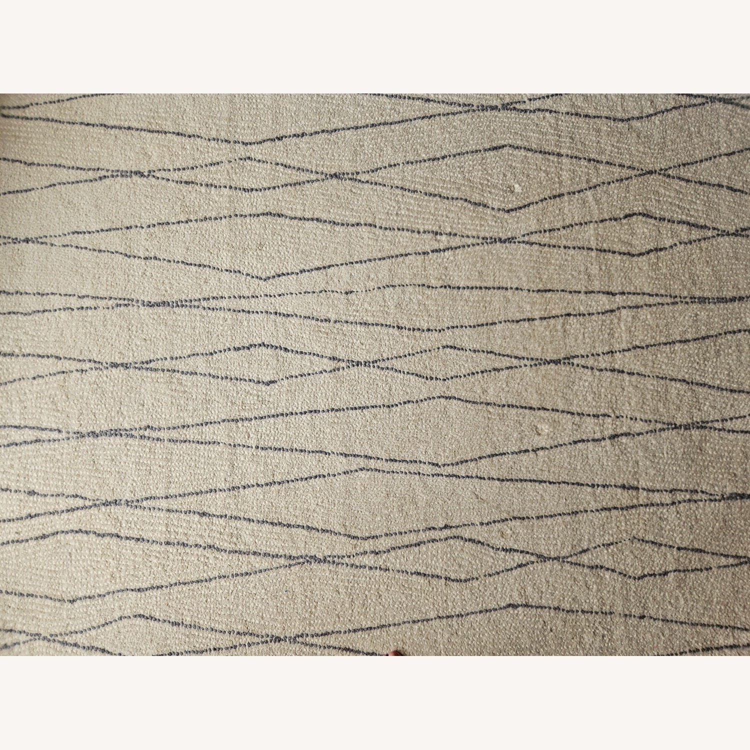 JOURNALSTANDARDFURNITURE SAFIRUG 120×160 West Elm Safi Tufted Wool Rug - AptDeco