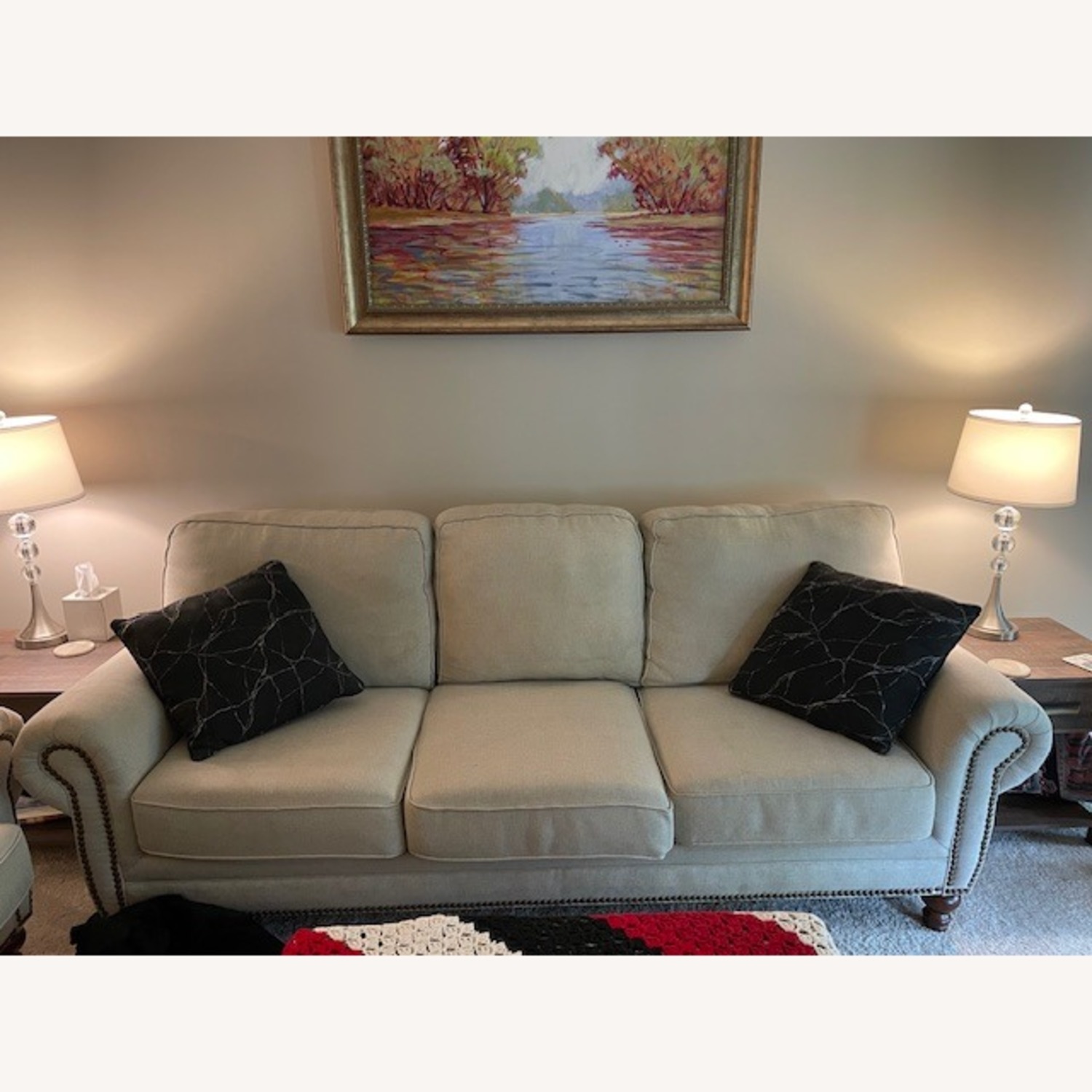 Elegant Cozy Couch - image-3