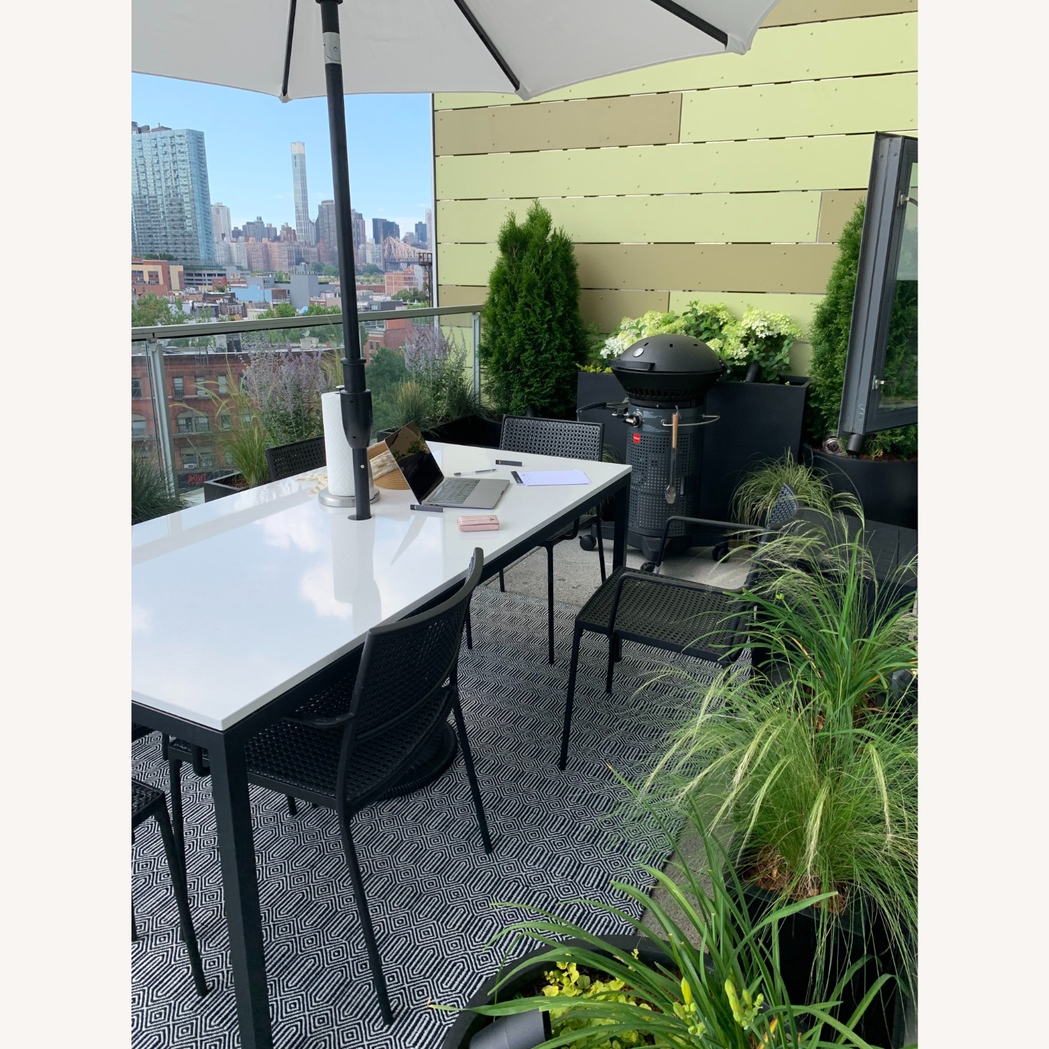 6 Room & Board Plat Outdoor Chairs in Woven Cane - image-4