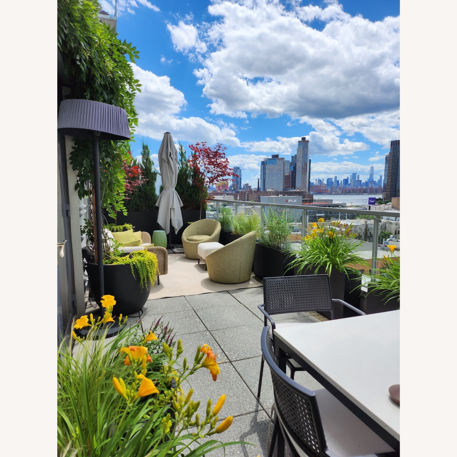 6 Room & Board Plat Outdoor Chairs in Woven Cane - image-5