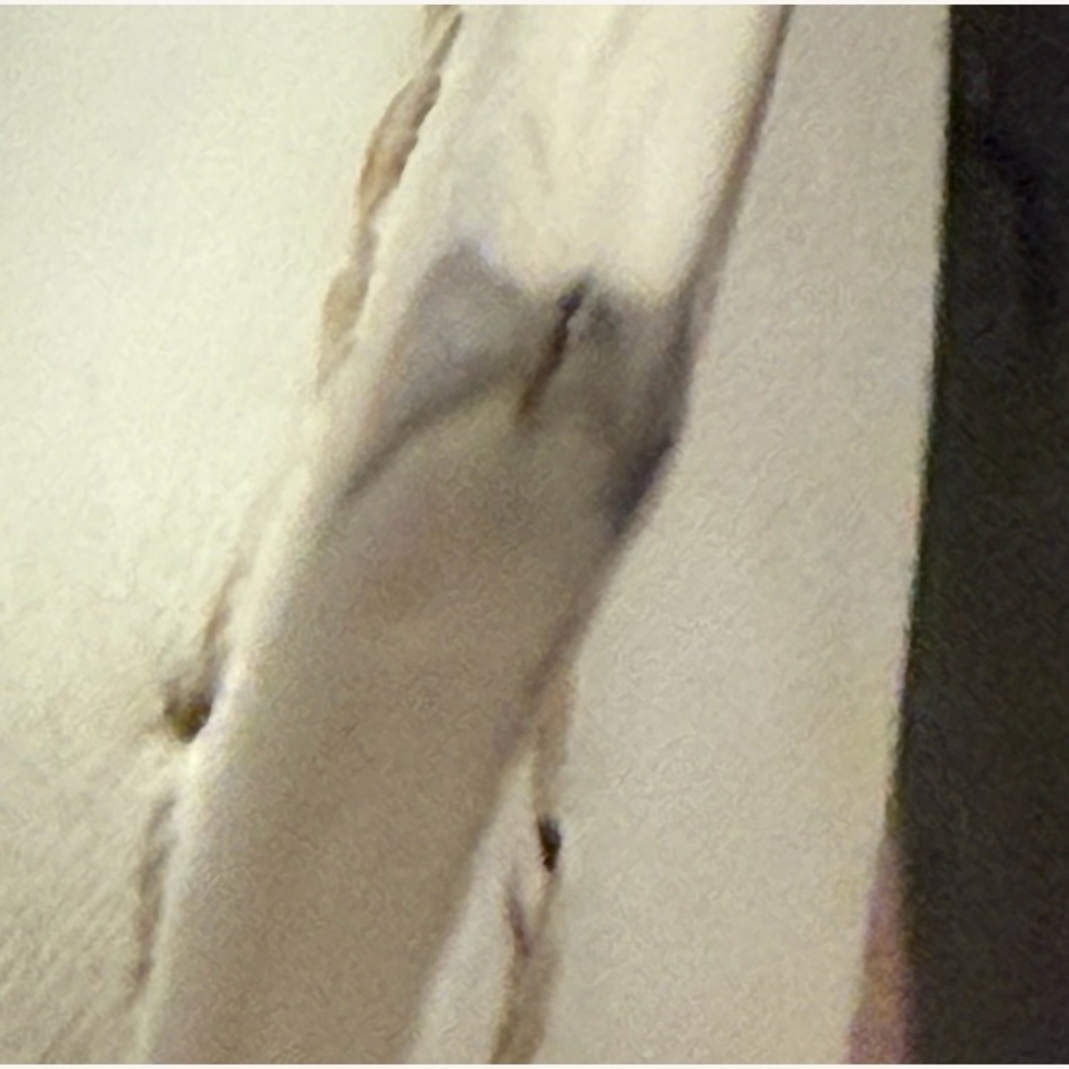 Office Depot Hasina White Dining Room Faux Leather Chairs Set of 4 - image-4