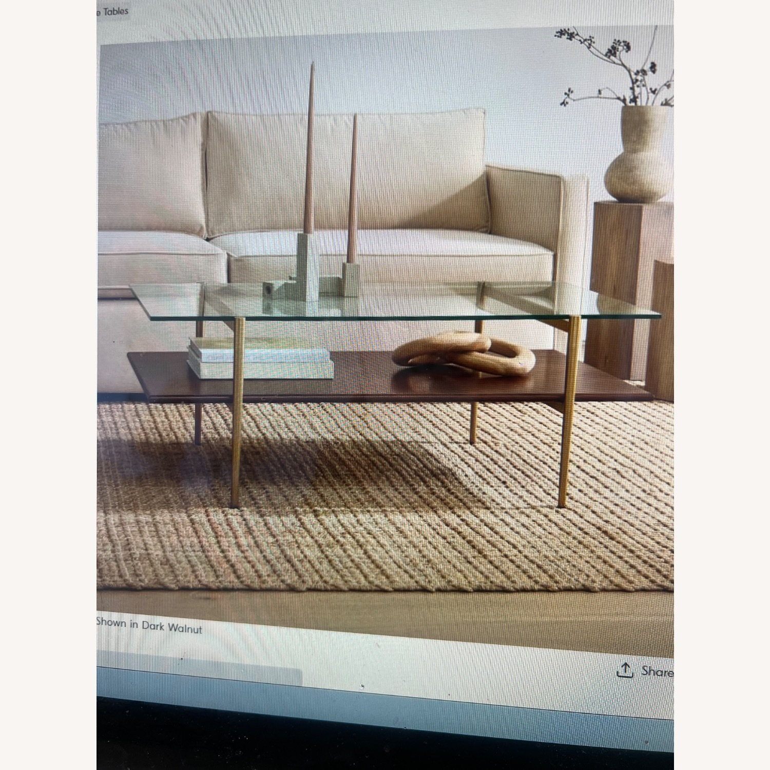 West Elm Mid-Century Art Display Coffee Table - AptDeco