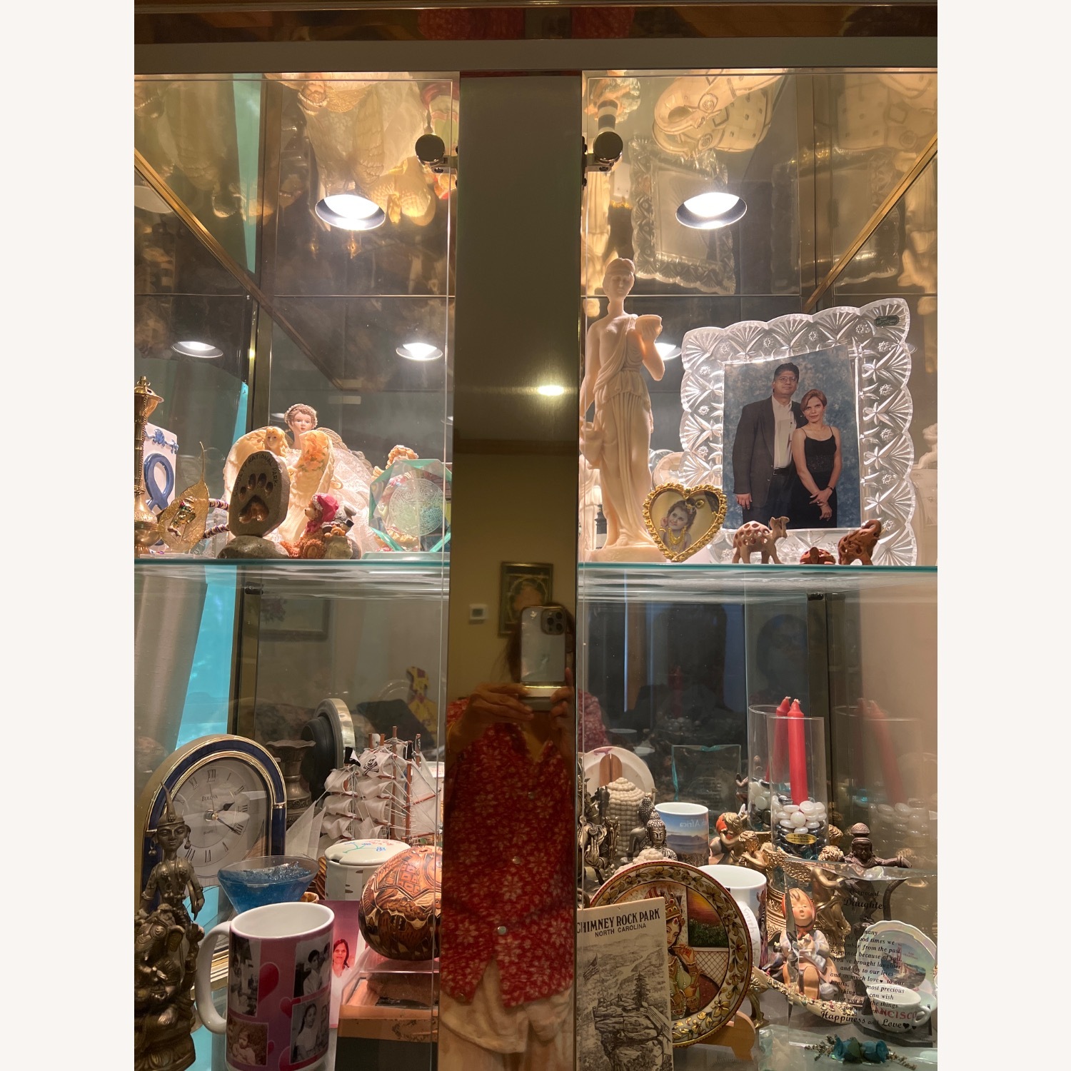 Glass and Golden Wall Unit - image-5