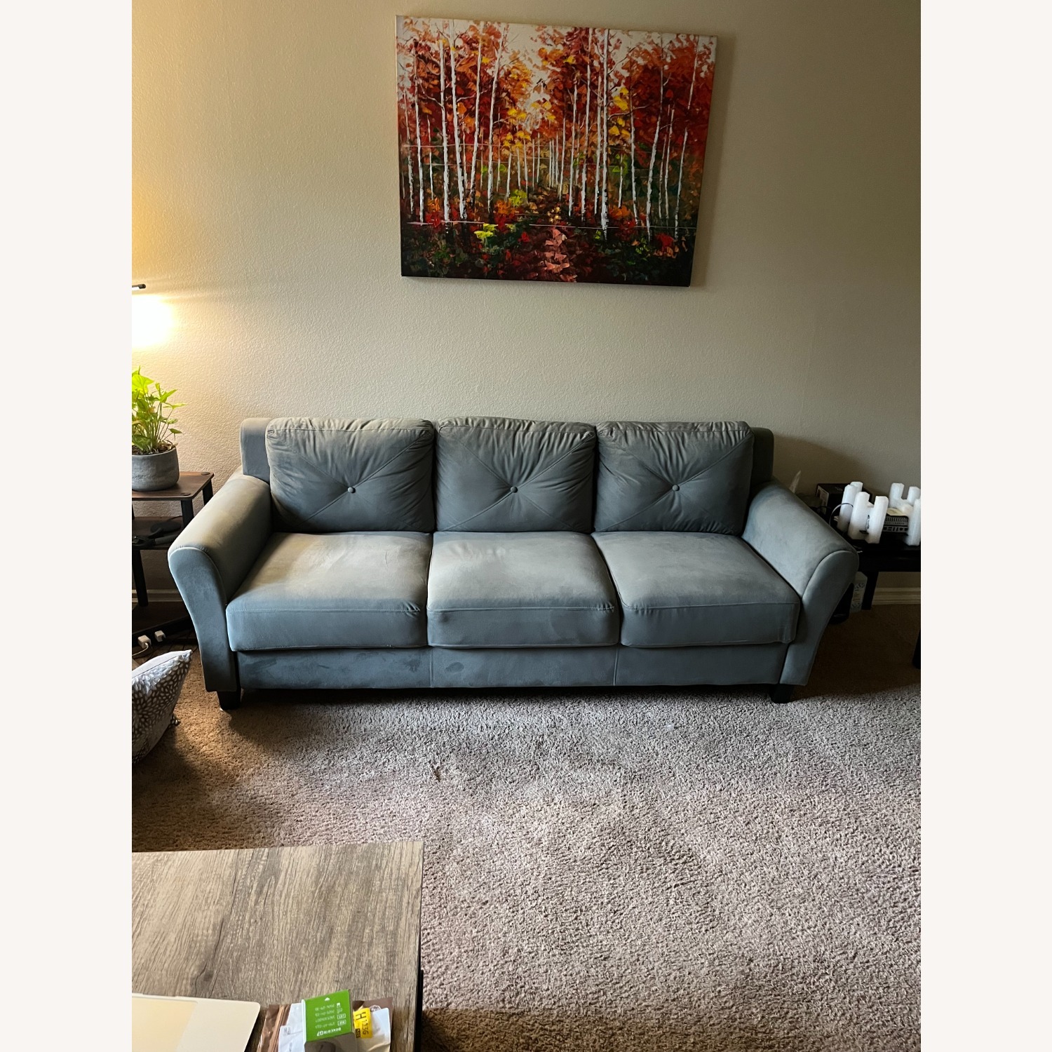 Lifestyle Solutions Hartford Long Beach Green Sofa - image-2