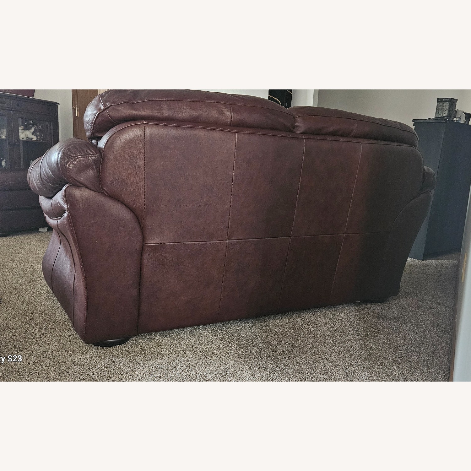 Jensen Plush Leather Loveseat - image-4