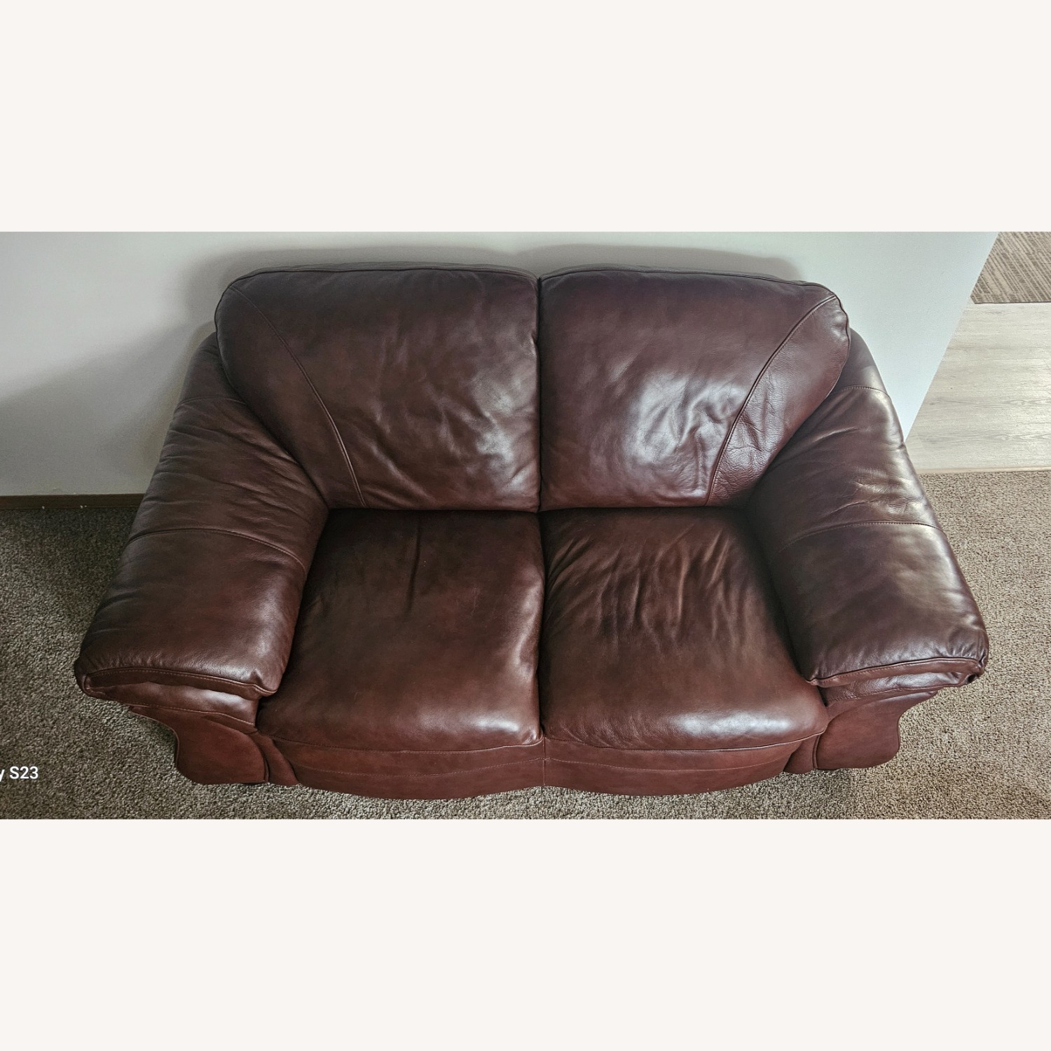 Jensen Plush Leather Loveseat - image-3
