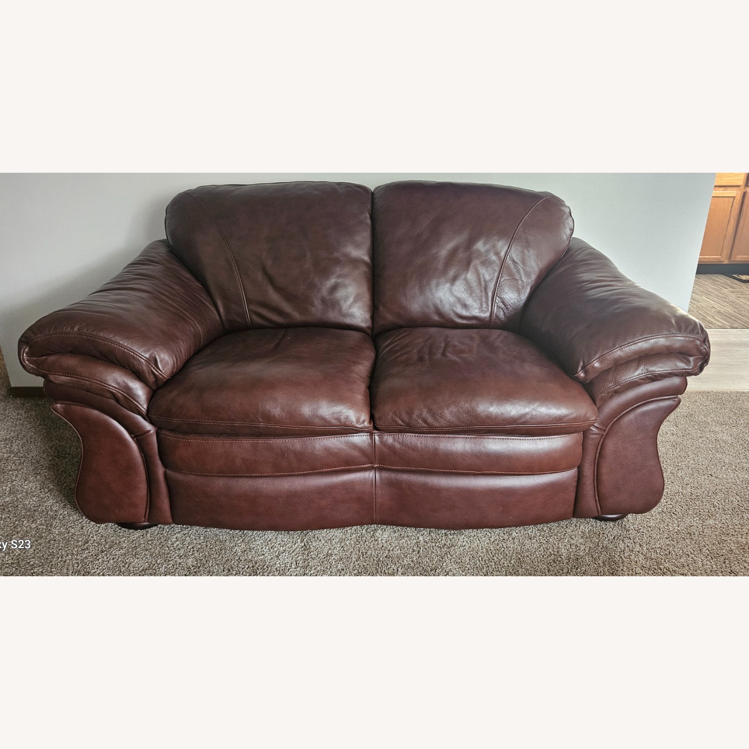 Jensen Plush Leather Loveseat - image-1