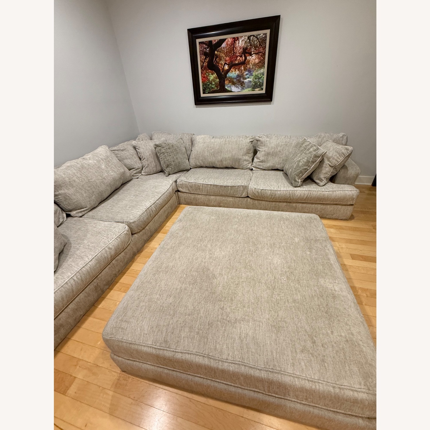 Large Sectional with Ottoman - image-1