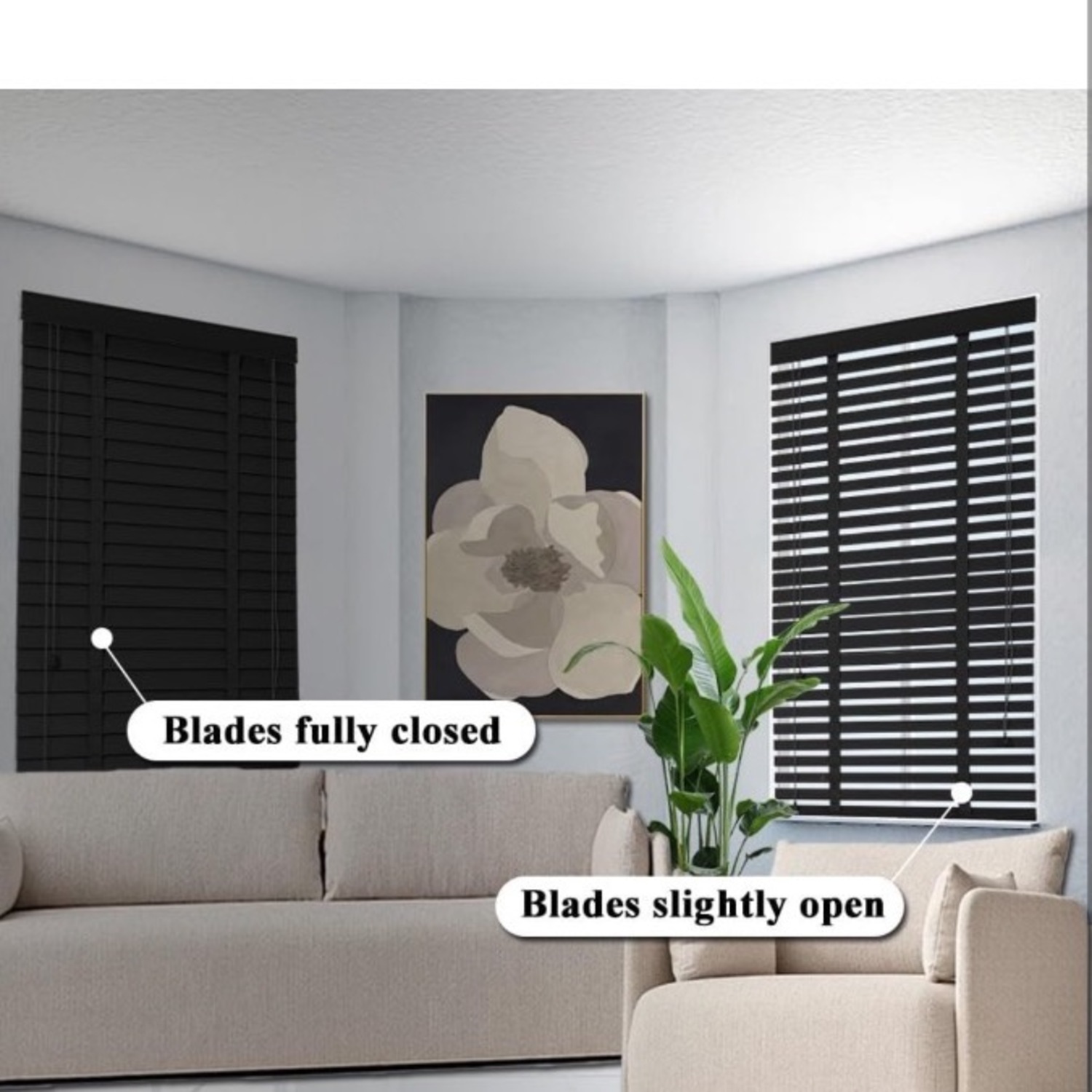 Shades Real Wood Black Stained - image-2