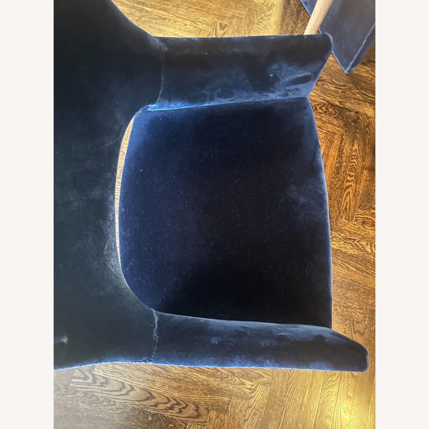 CB2 Foley Mink Velvet Dining Armchairs - Set of 6 - image-3