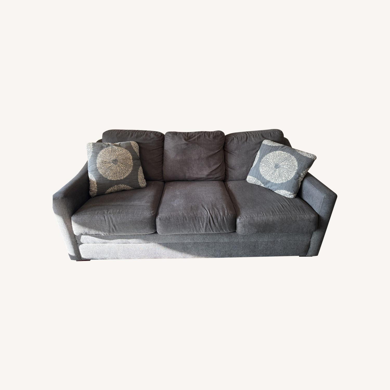 Comfy Sleeper Sofa & Pillows  - image-0