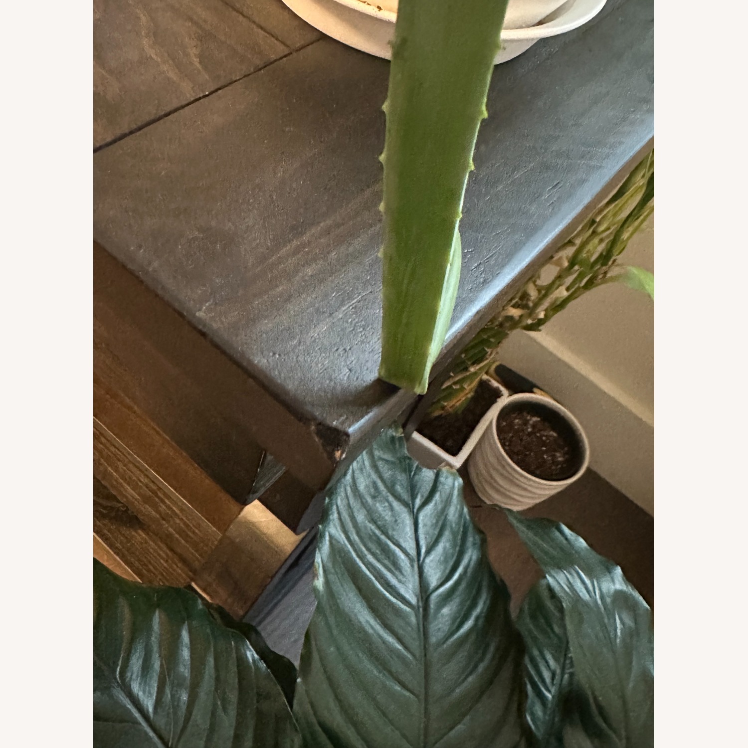 Charthouse Charcoal Sofa Table - image-1