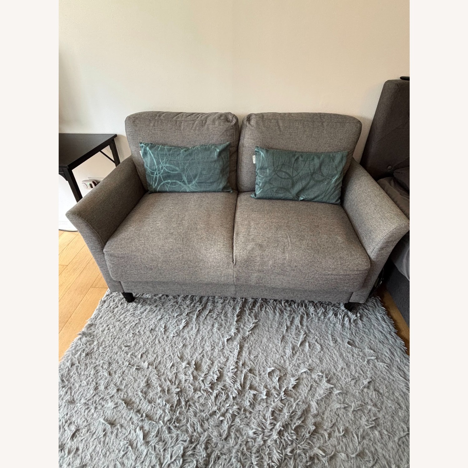 Amazon 2-Seater Gray Sofa - image-2