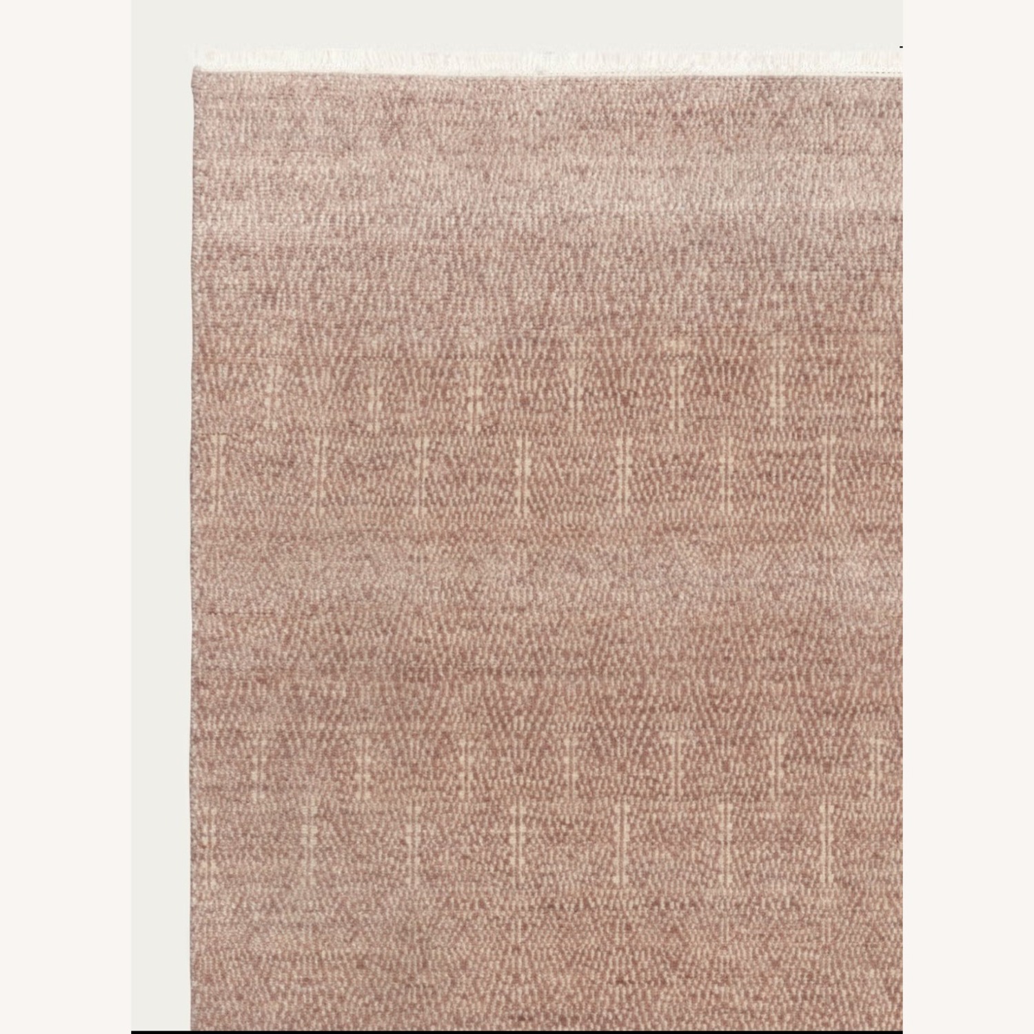 Armageddon Rug Armadillo Paragon Rug 8x10 - AptDeco