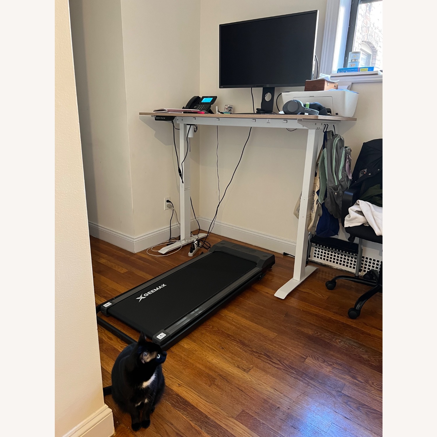Adjustable Sit/Stand Desk - image-7