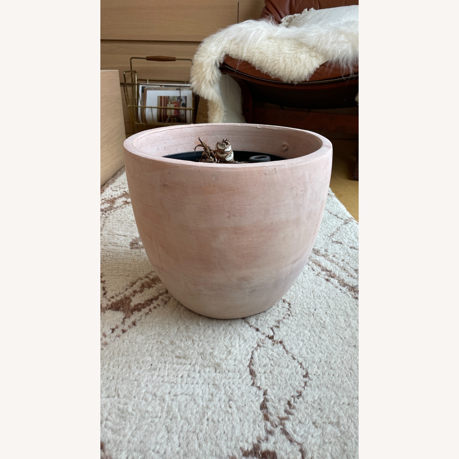Large Blush Ceramic Planter Kit - image-1