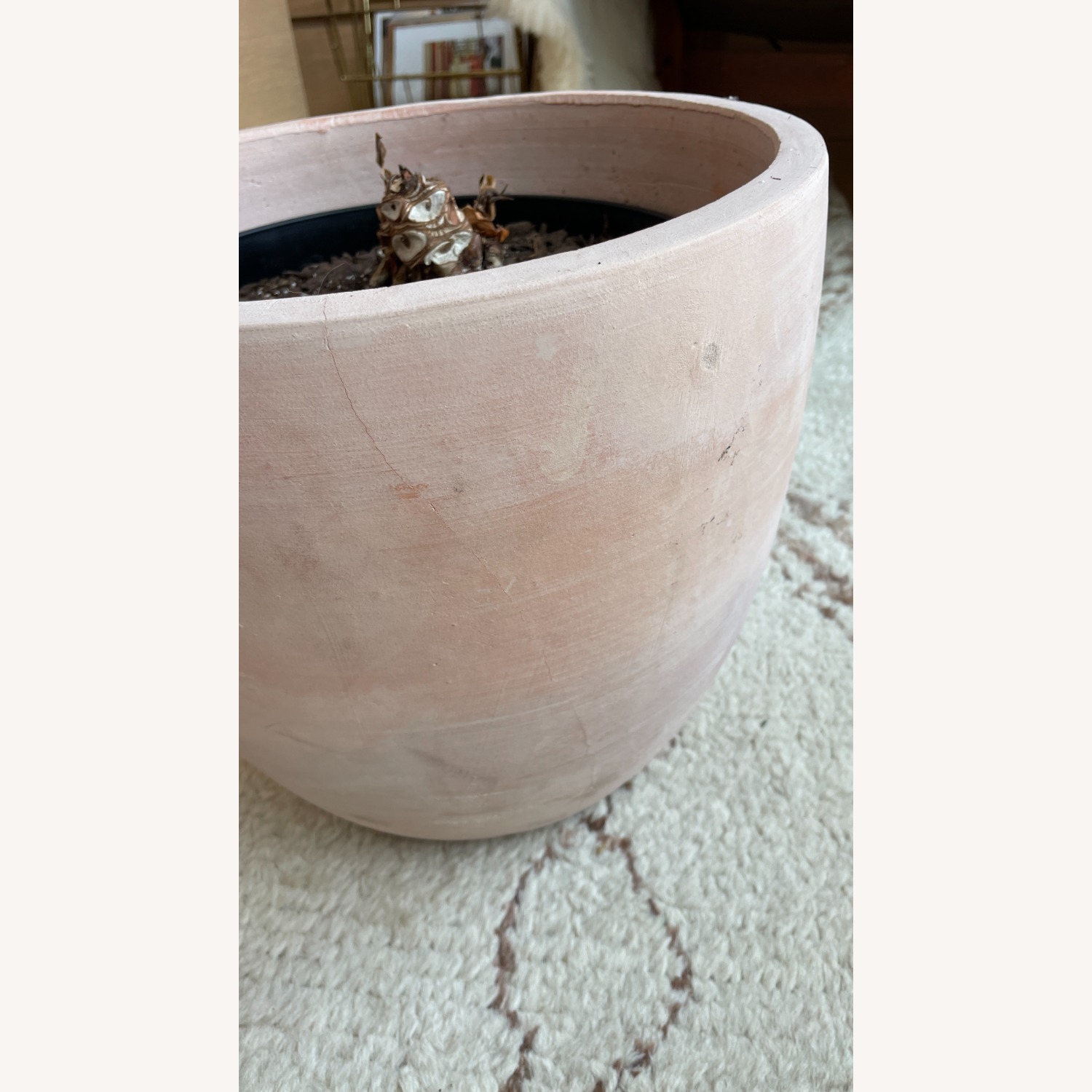 Large Blush Ceramic Planter Kit - image-4