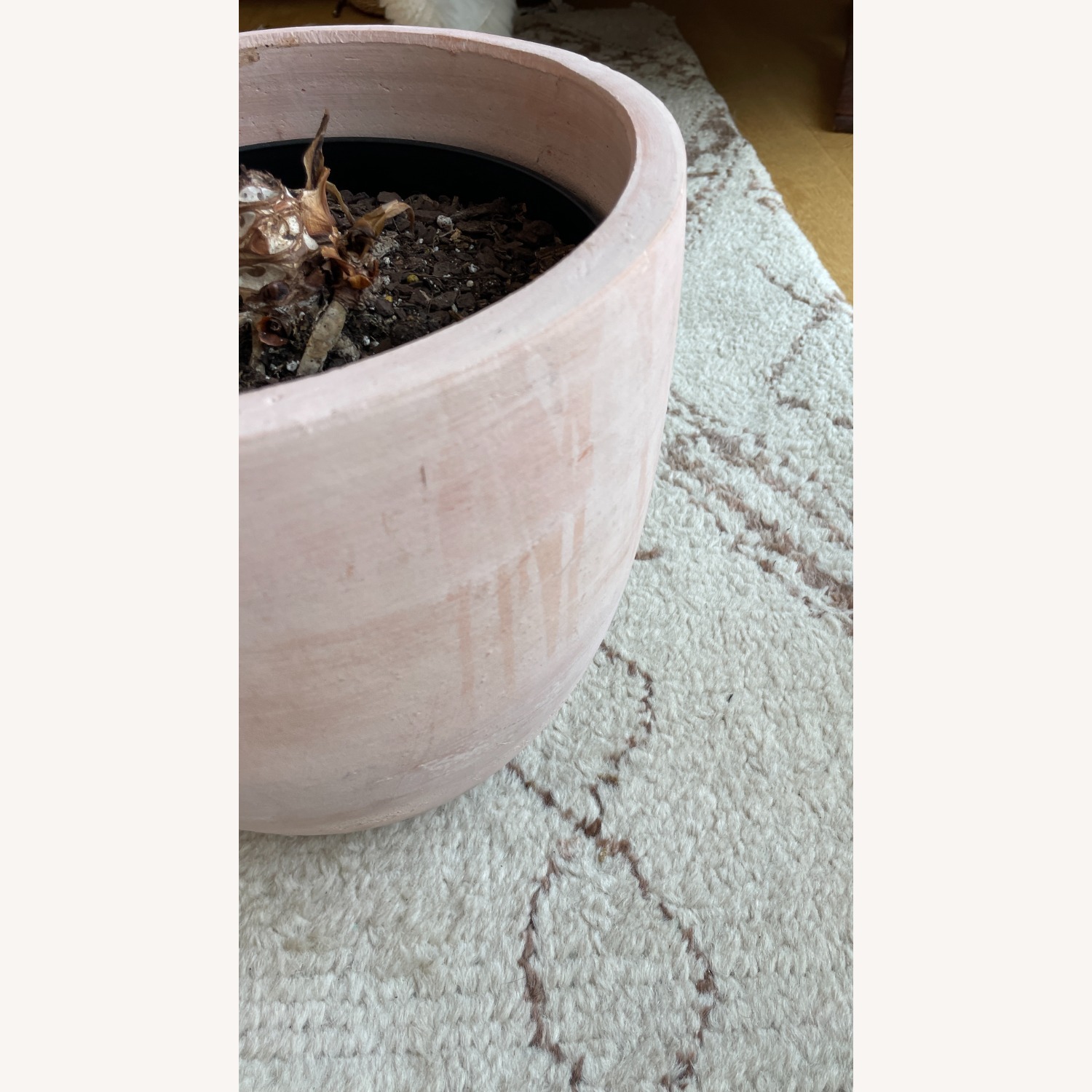 Large Blush Ceramic Planter Kit - image-5