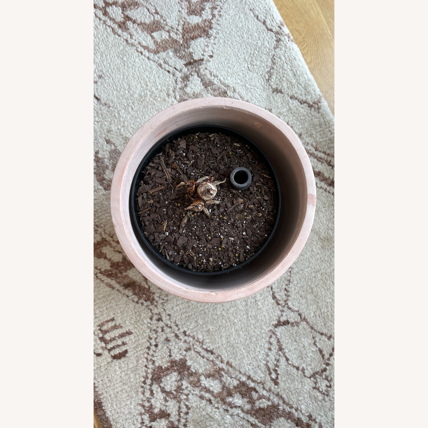 Large Blush Ceramic Planter Kit - image-2