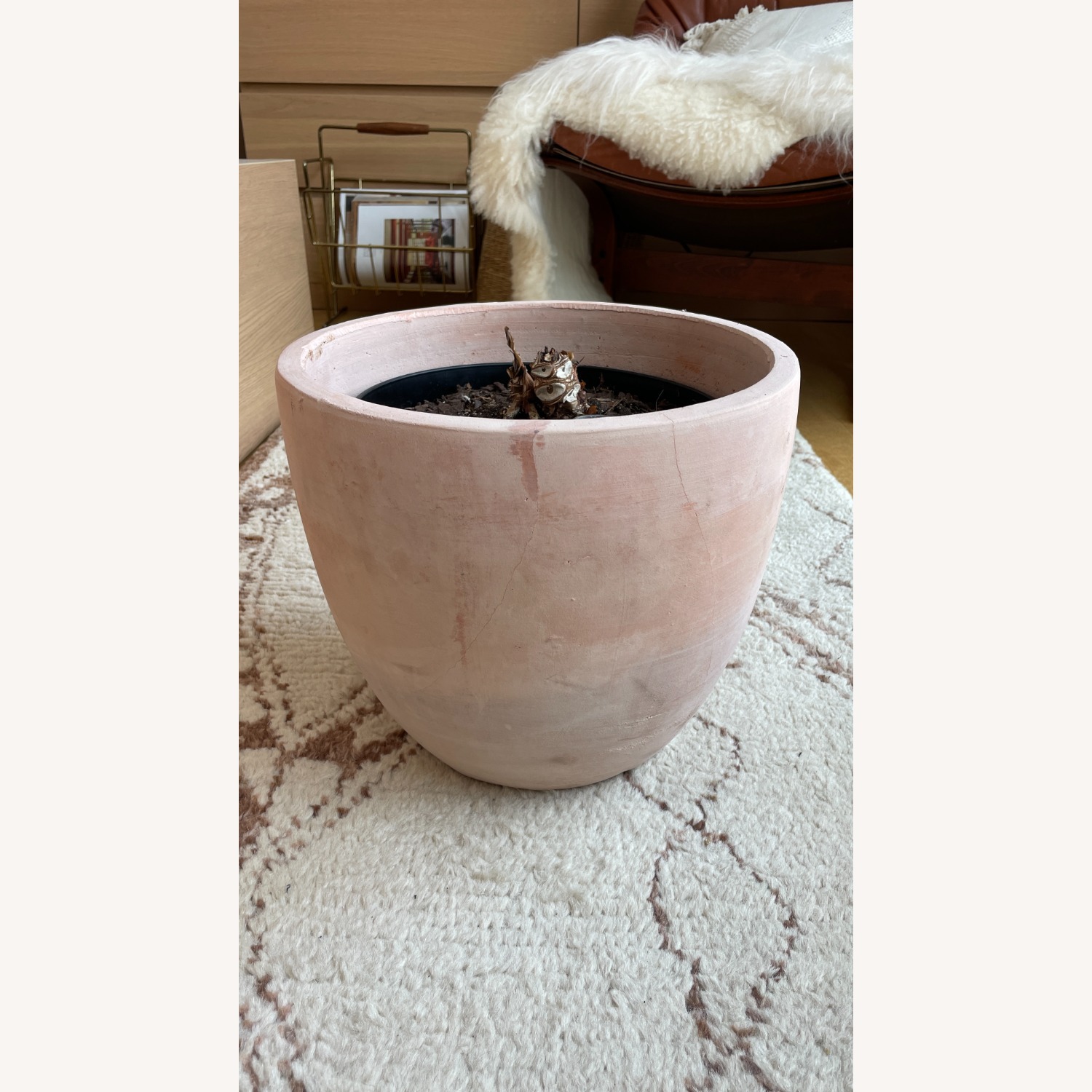 Large Blush Ceramic Planter Kit - image-8