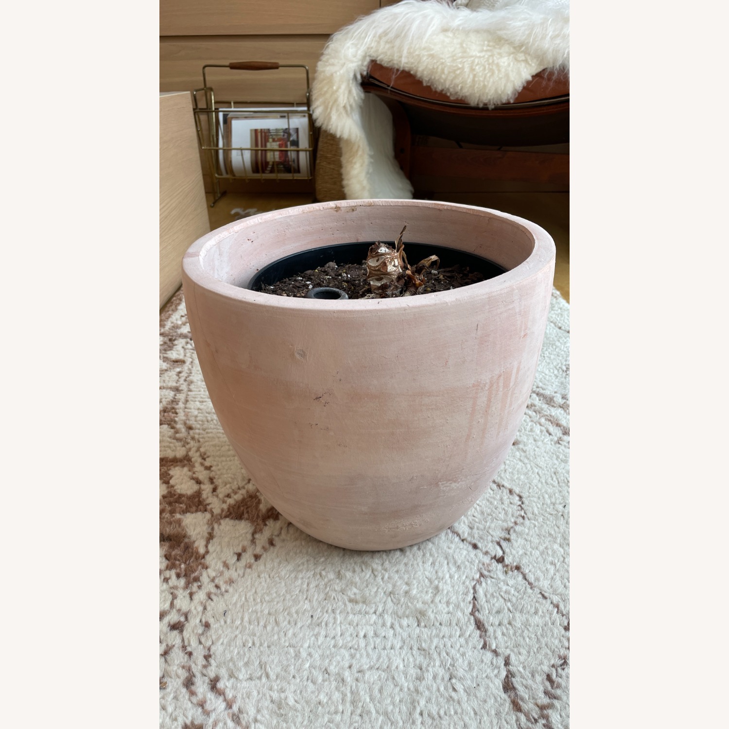 Large Blush Ceramic Planter Kit - image-6
