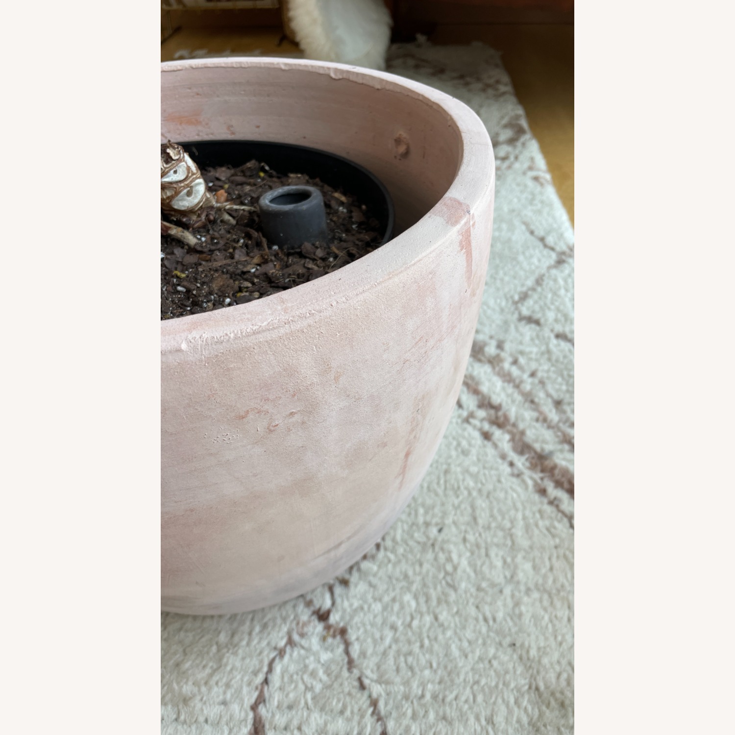 Large Blush Ceramic Planter Kit - image-3