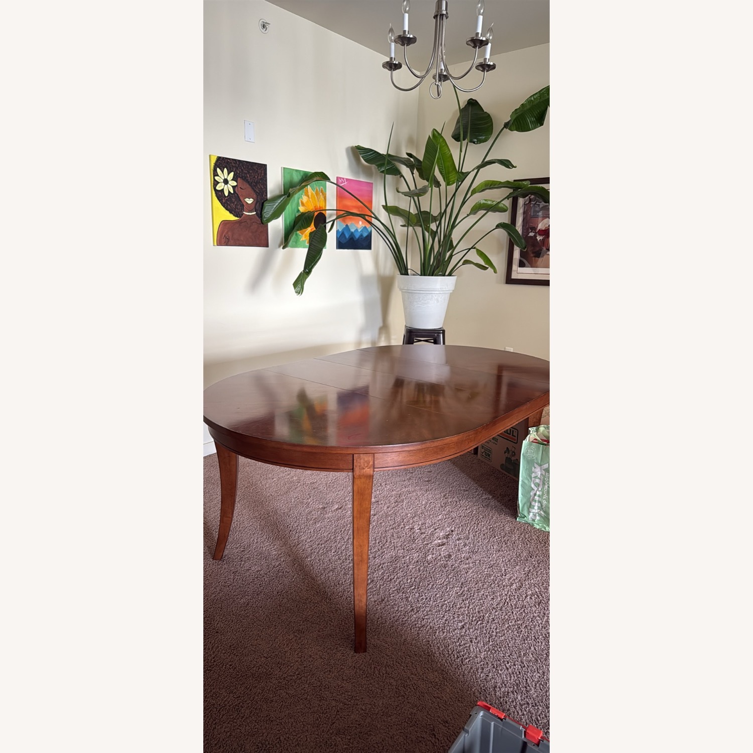 Light Brown Dining Room Table  - image-1
