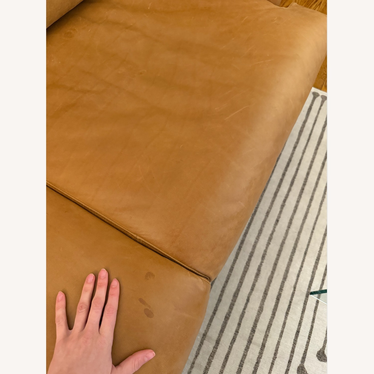 Poly & Bark Cognac Leather Sofa 88"  - image-3