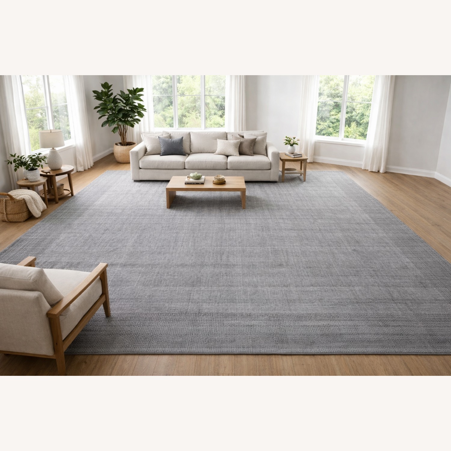 Restoration Hardware Natim Performance Rug - image-0