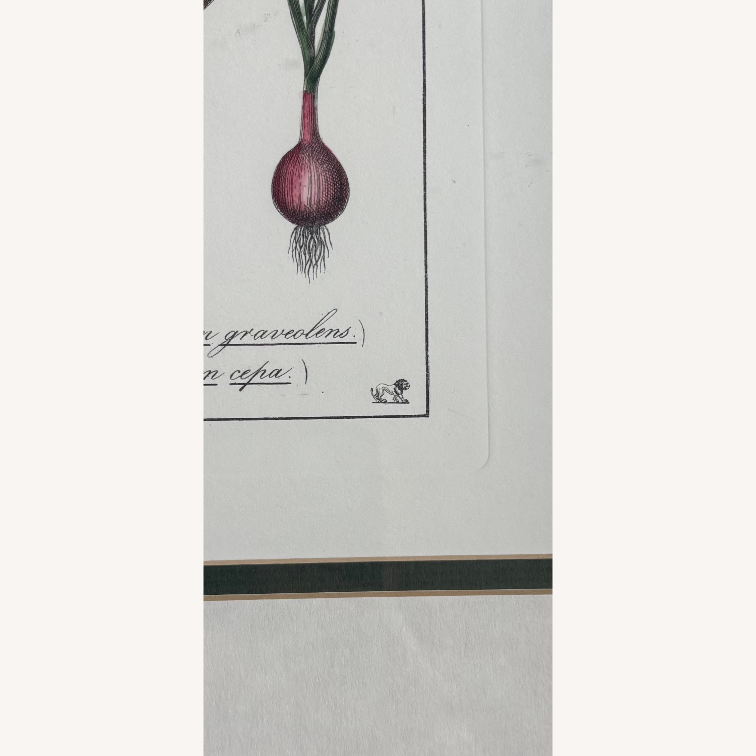 Two Food-Themed Prints in Custom Frames - image-5