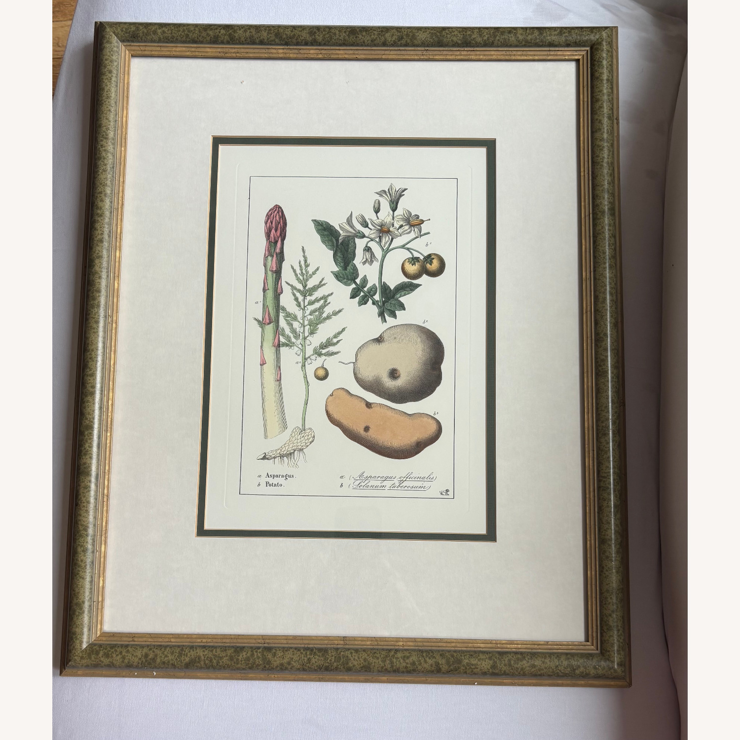 Two Food-Themed Prints in Custom Frames - image-3