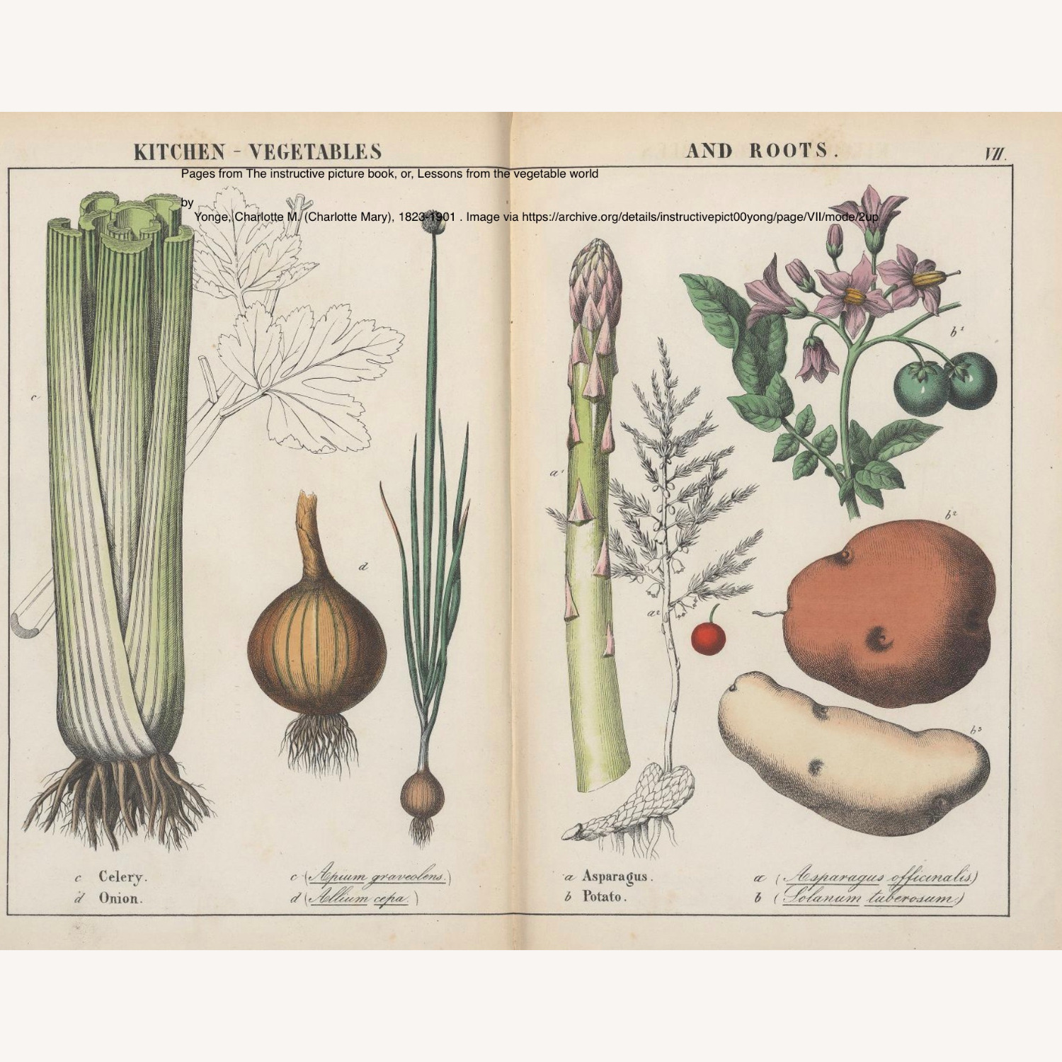 Two Food-Themed Prints in Custom Frames - image-7