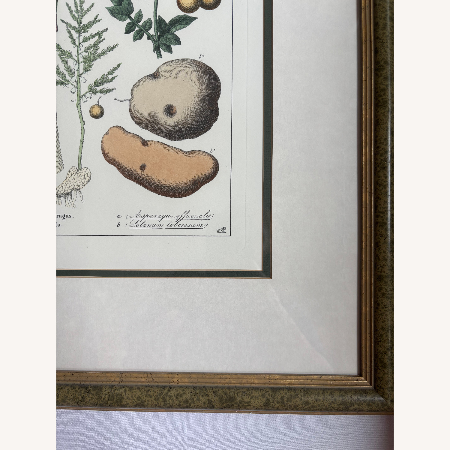 Two Food-Themed Prints in Custom Frames - image-4