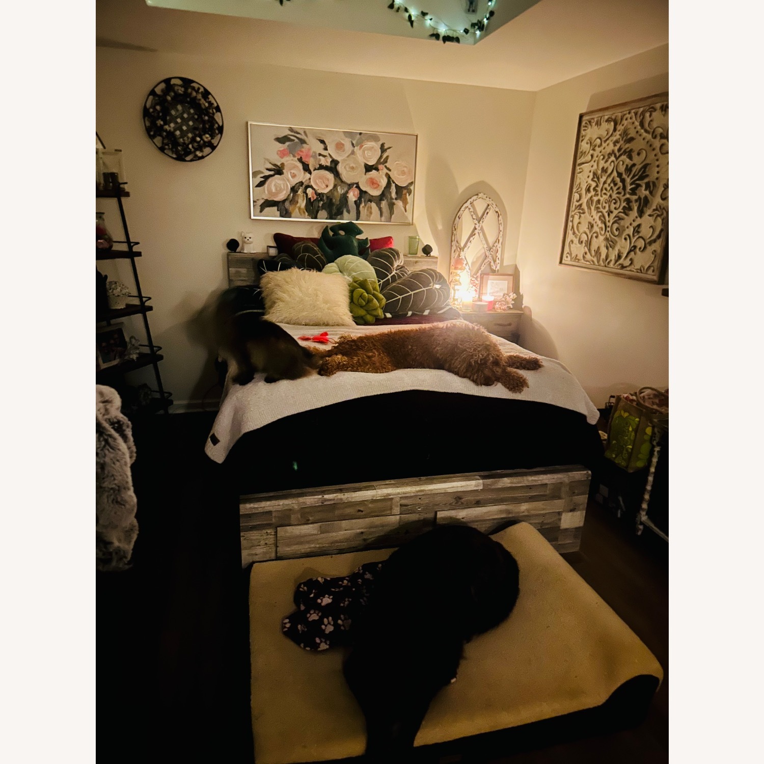 Effie Queen Bed  - image-2
