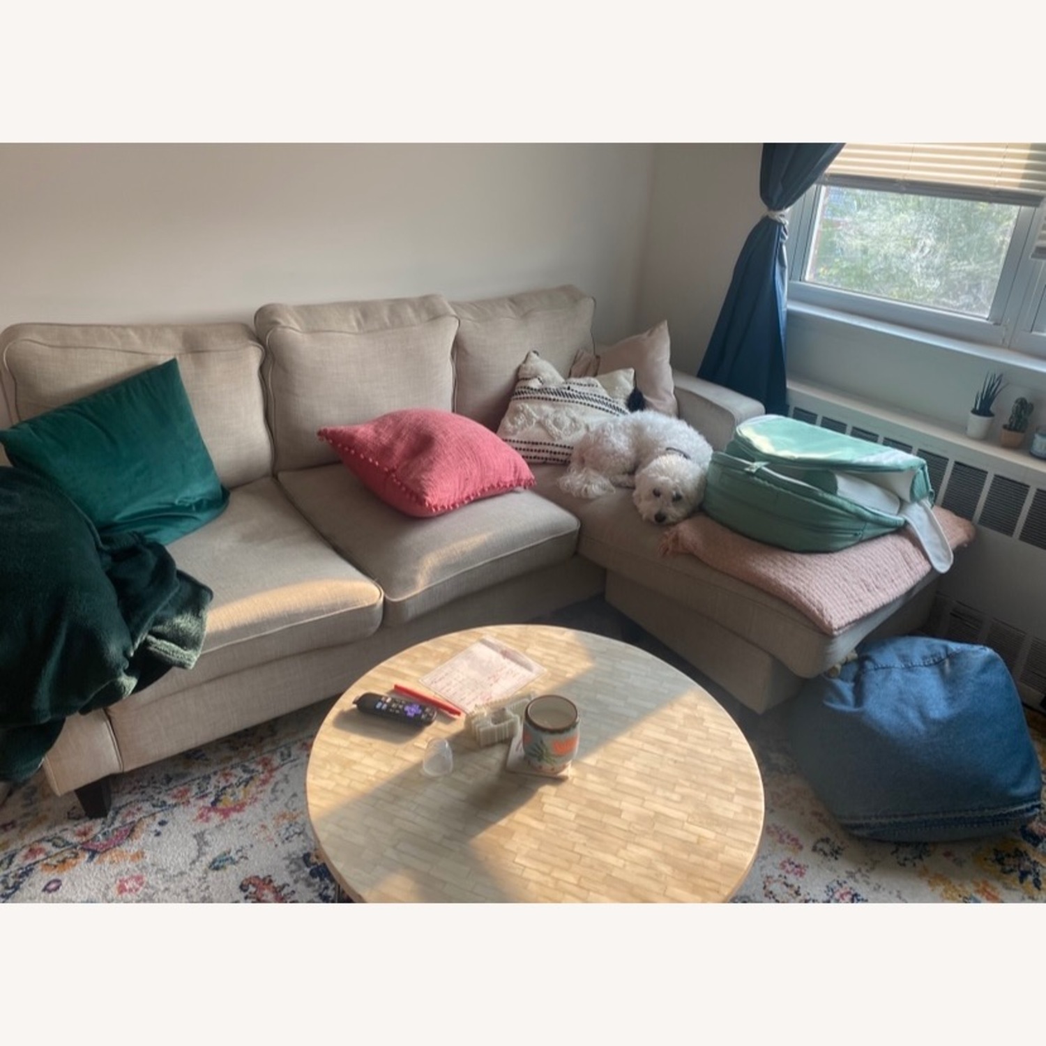 Serta Couch  - image-3