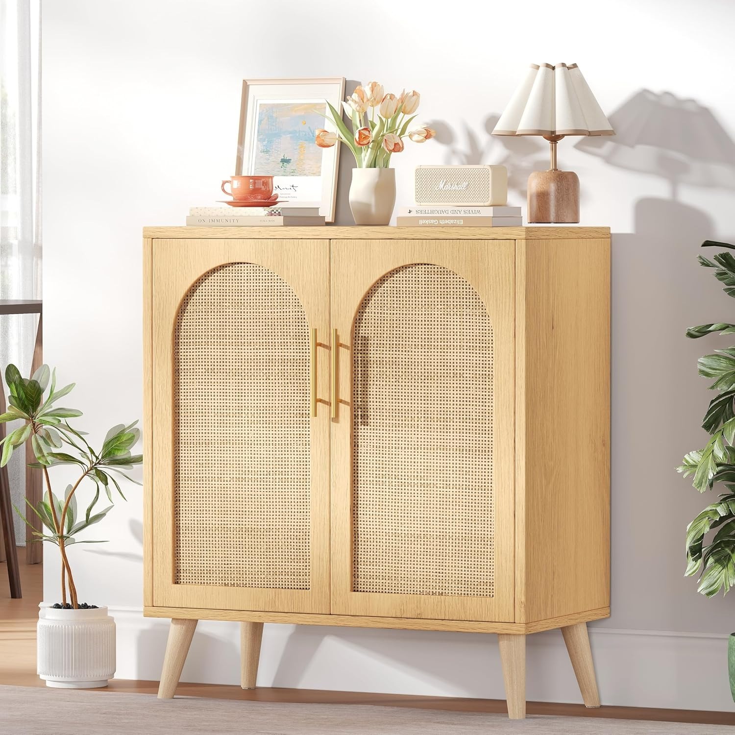 Rattan Storage Cabinet with Adjustable Shelf - image-1