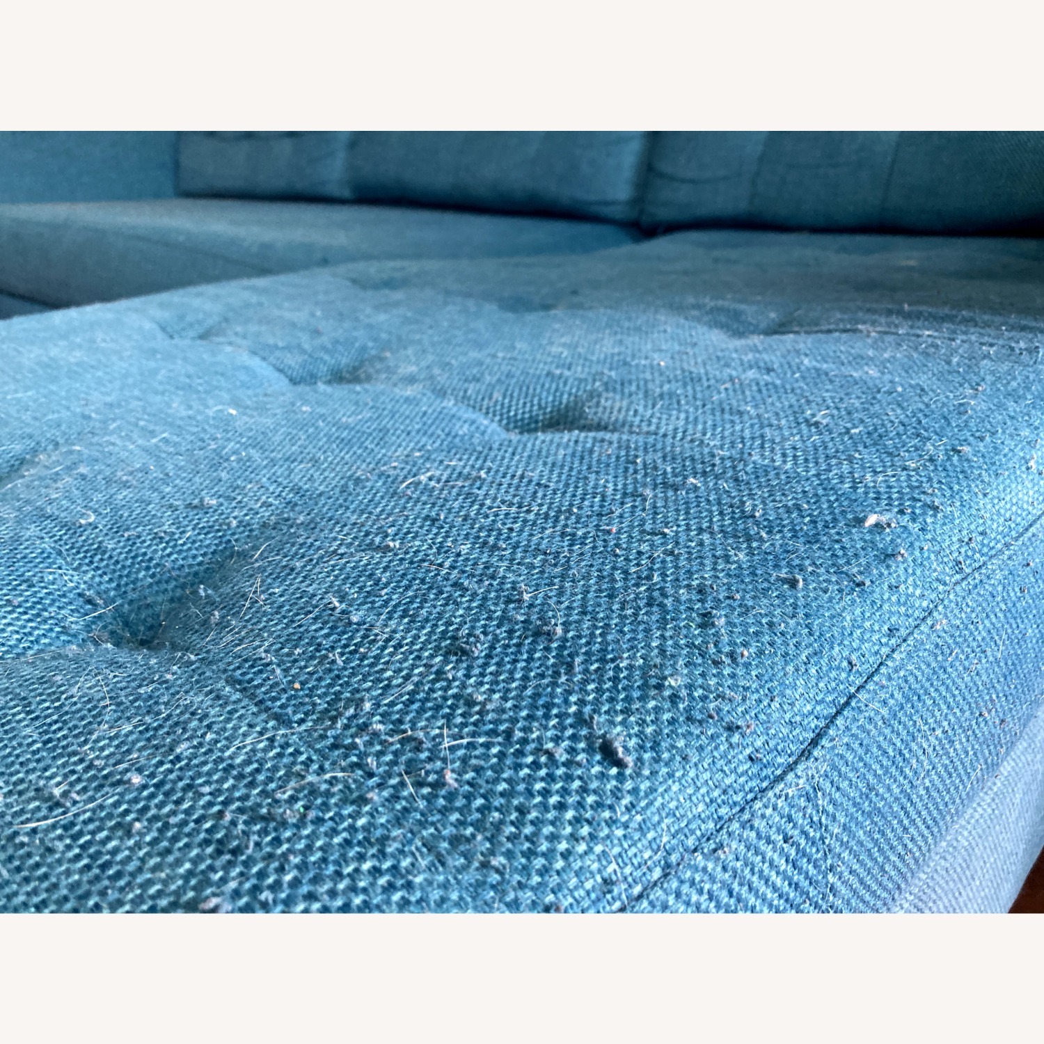 CB2 Ditto Sectional Sofa in Peacock - image-4