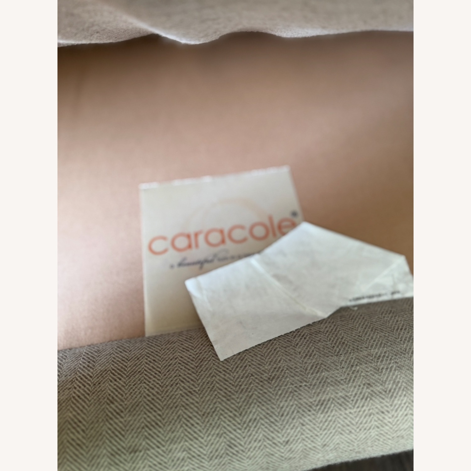 Caracole The Cats Meow Sofa Couch Wood Frame - image-5