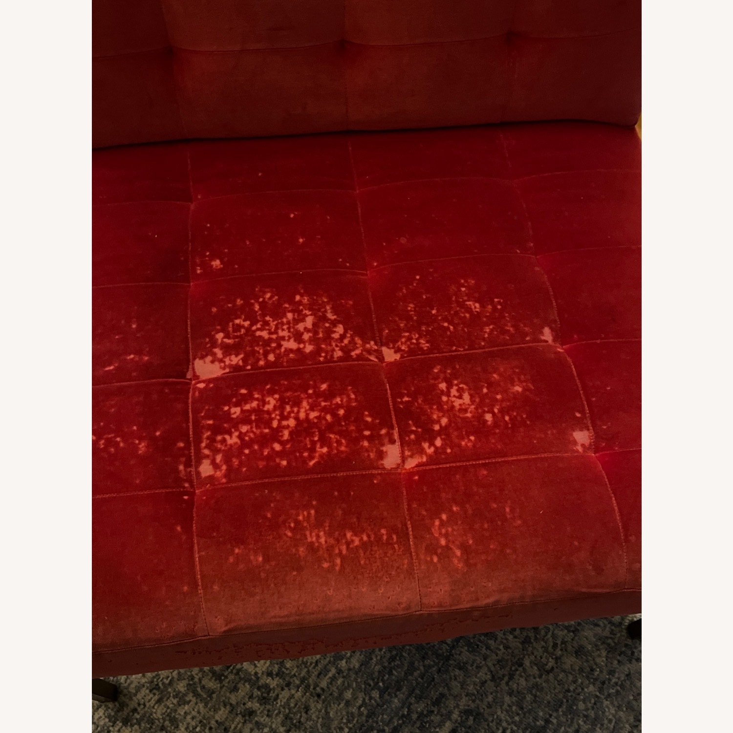 Velvet Side Chair - image-4