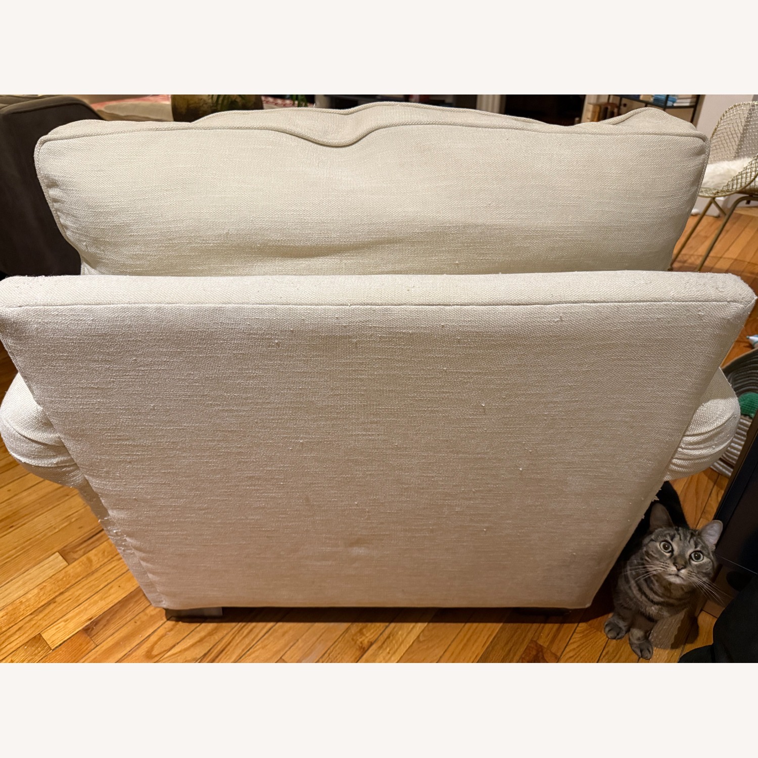 Pottery Barn Buchanan Arm Chair - image-5