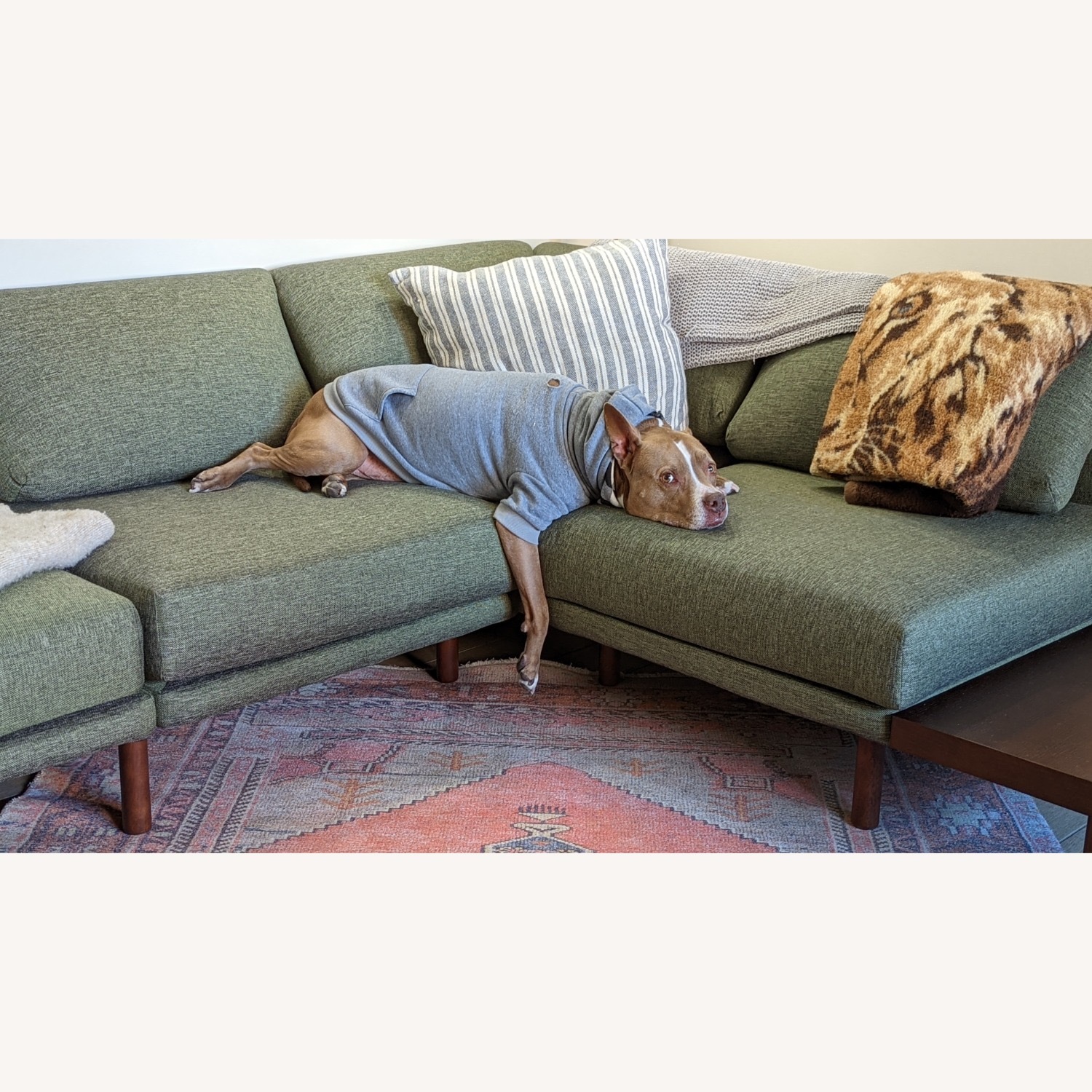 Burrow Range Sectional Lounger Moss Green/Walnut - image-7