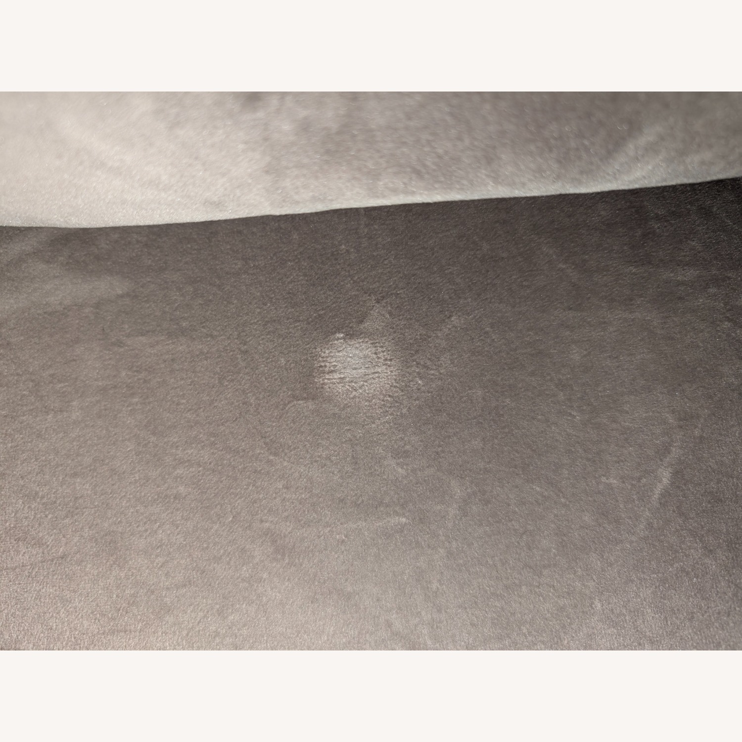 Rove Concepts Maria Sofa - image-4