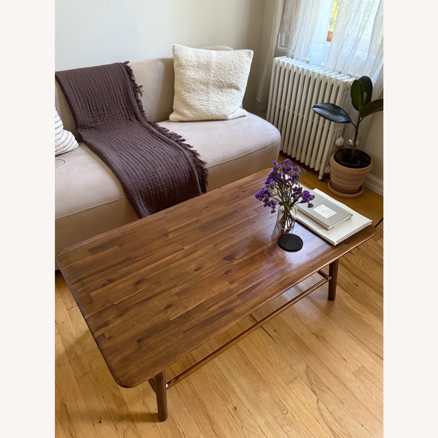 EQ3 Solid Wood Coffee Table  - image-1