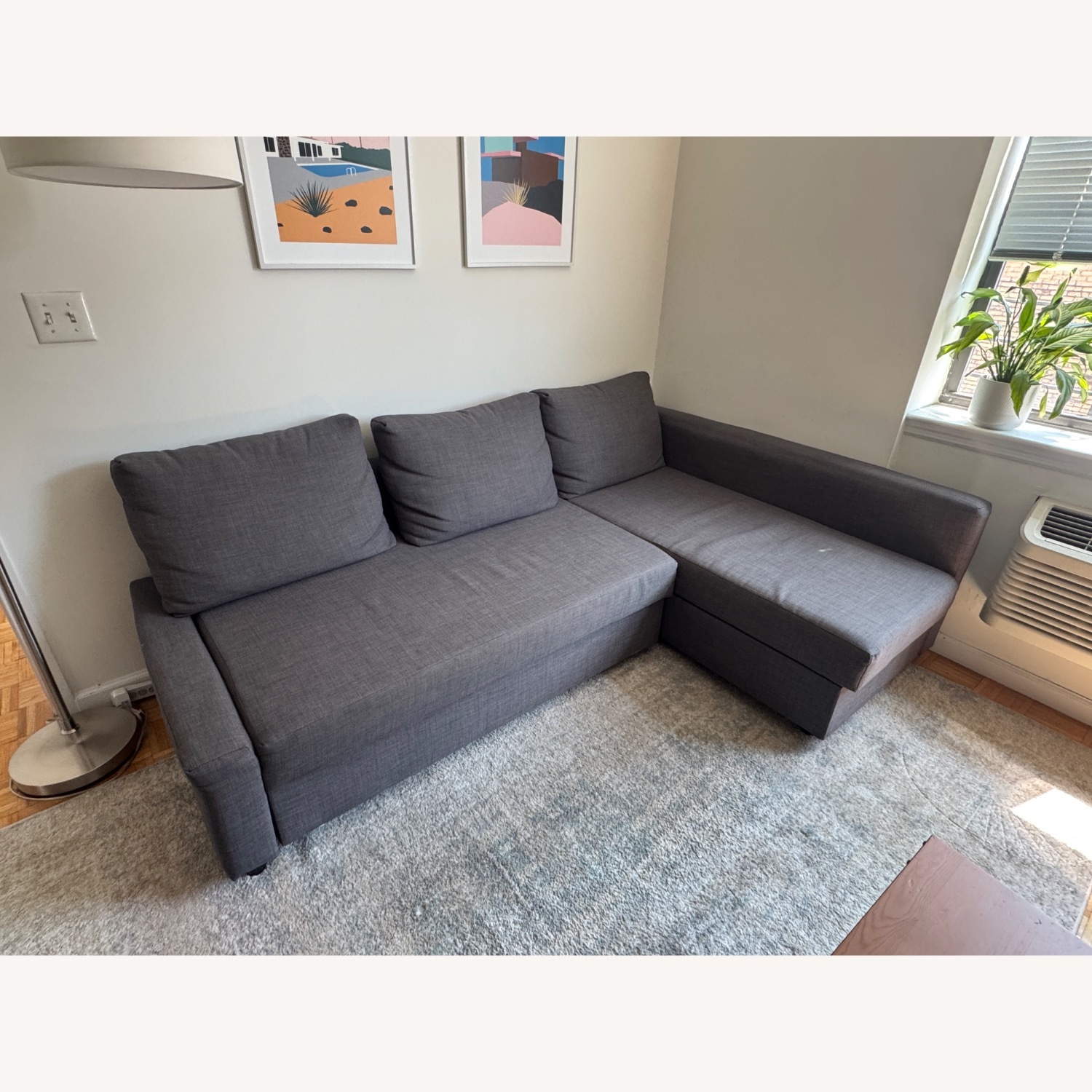 IKEA FRIHETEN Sleeper Sofa - AptDeco