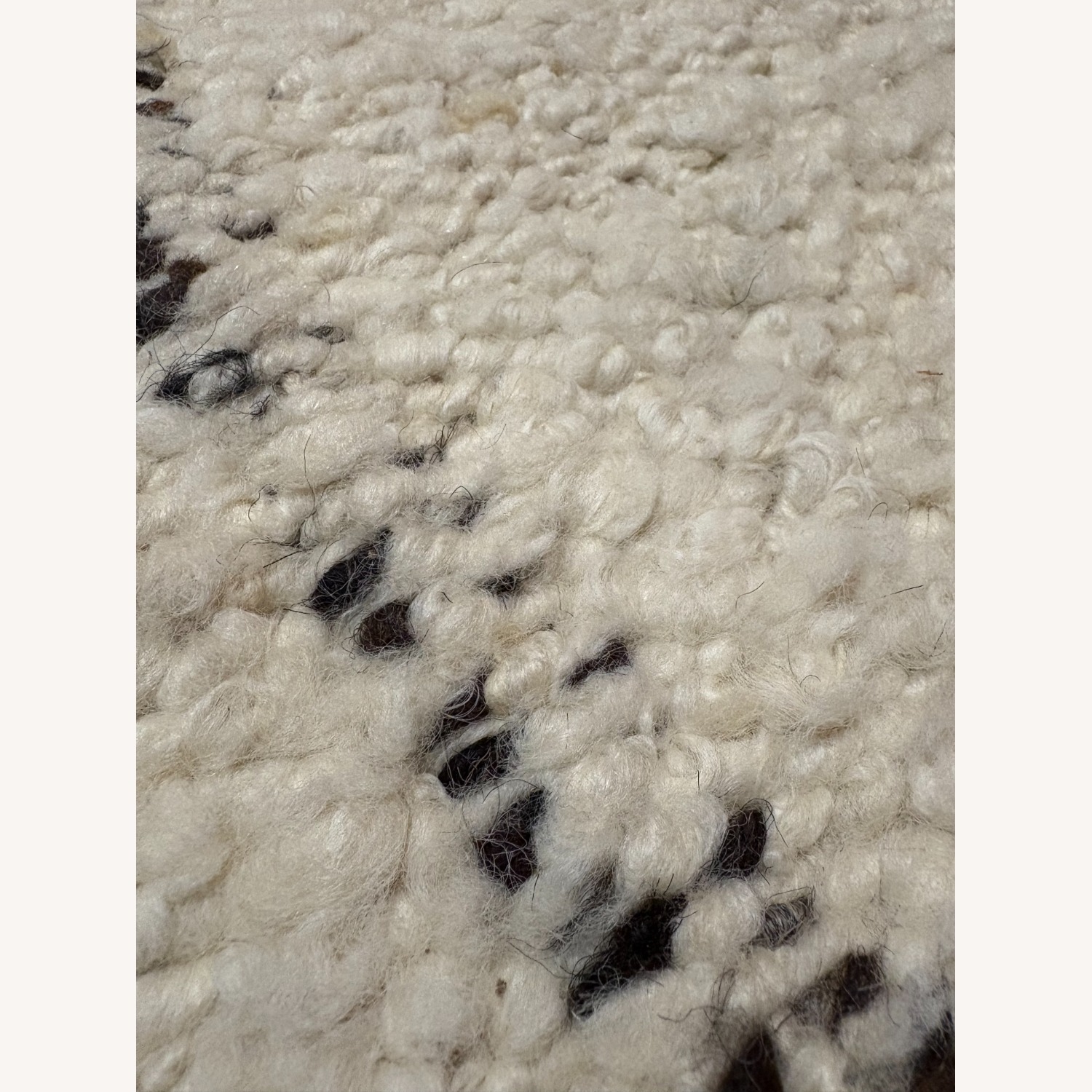 Restoration Hardware Leni Wool Flatweave Rug - image-2
