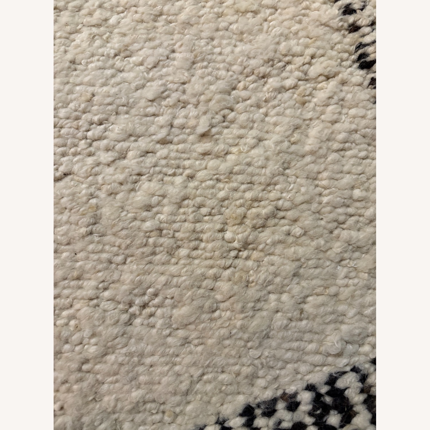 Restoration Hardware Leni Wool Flatweave Rug - image-6