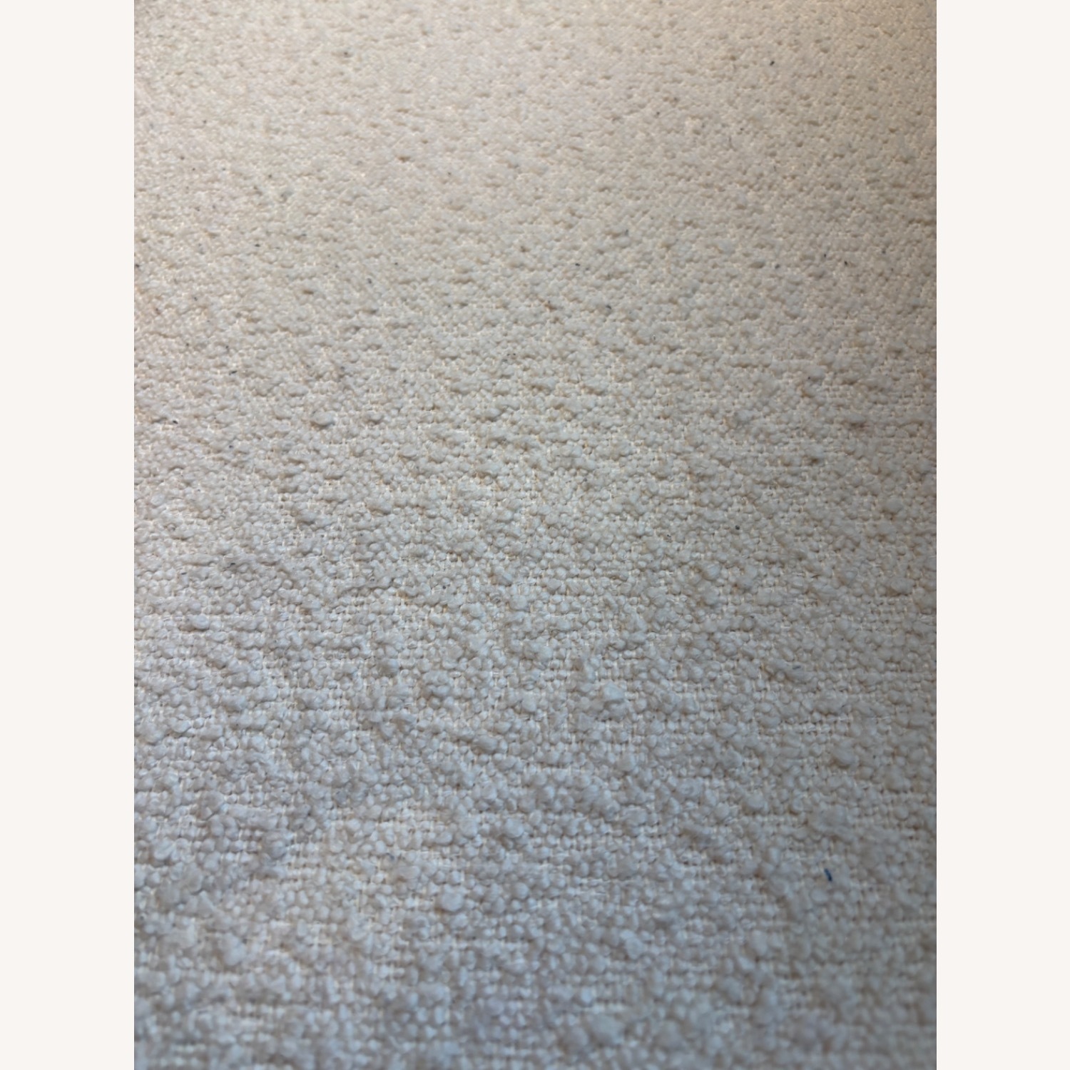 CB2 Stature Boucle Bench - image-3