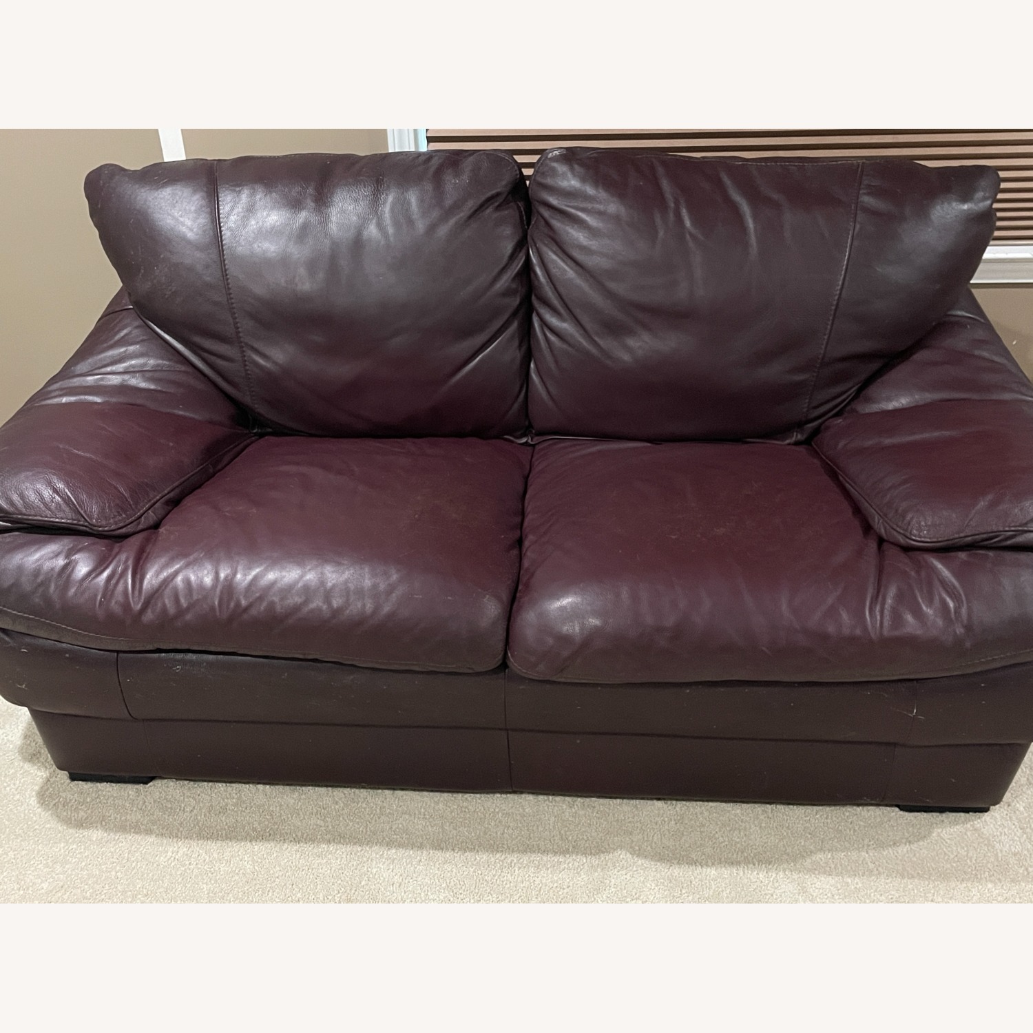 Natuzzi 2 Seater Sofa - image-1