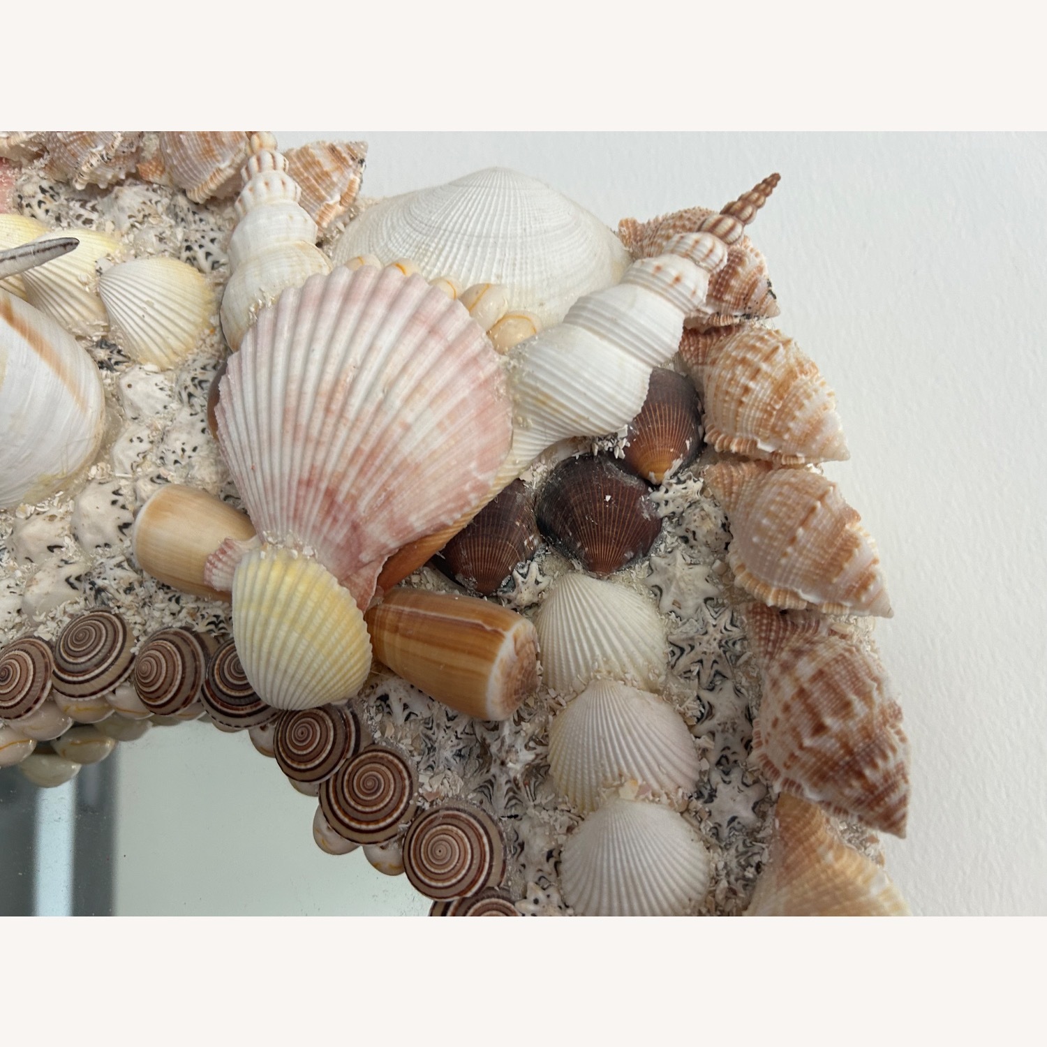 One-of-a-Kind Handcrafted Seashell Mirror - image-5