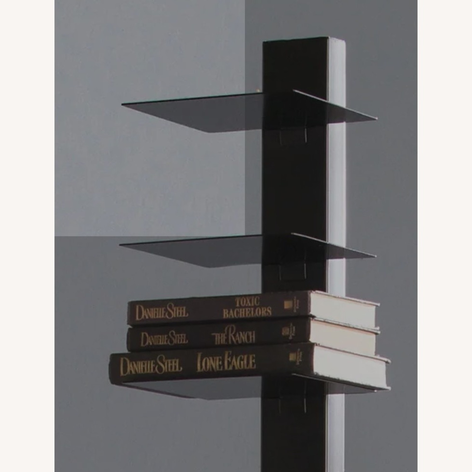 Metal Spine Bookshelf Decor  - image-3